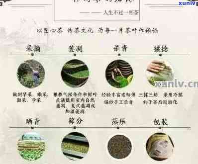 探究普洱茶土味的成因及其影响：从工艺到存的全方位解析