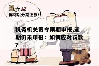 逾期未申报后多久会收到责令通知？如何处理逾期申报问题？