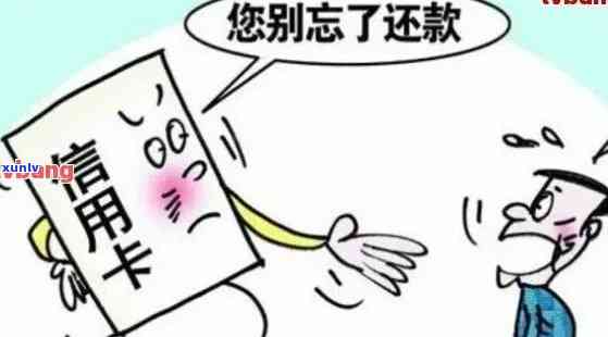 抖音热议：信用卡逾期现象揭示了什么？真的还是假的？