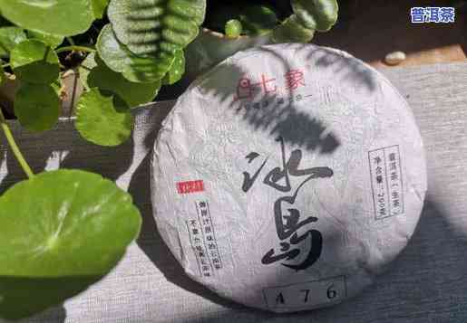 新2008年冰岛普洱茶价格，收藏价值与品鉴指南