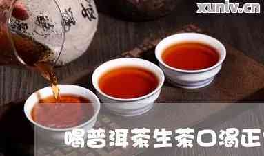 小菊普洱茶喝完上火吗