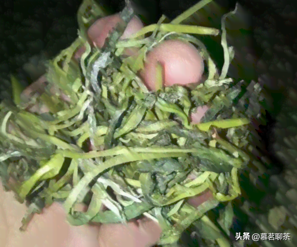 '普洱茶的土腥味原因分析：有的普洱茶为何有这种味道？是假货吗？'