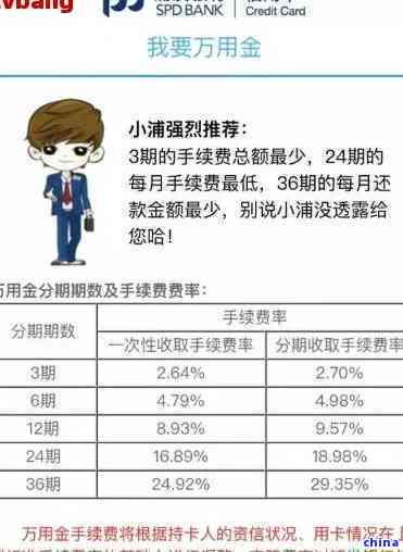 浦发信用卡2万分12期还款详细解析：如何办理、费用计算与还款方式全解析