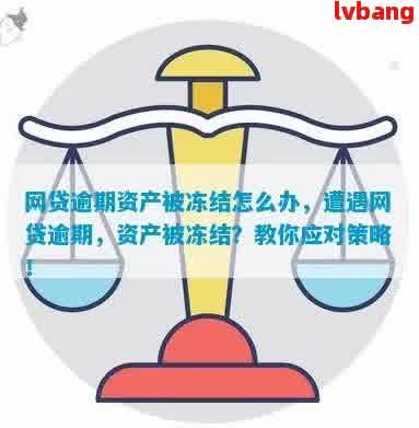 网贷逾期会动到资产吗怎么办：处理策略和注意事项