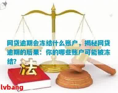 新网贷逾期可能导致资产被冻结，了解处理策略助你避免损失