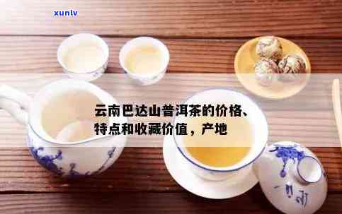 巴达山普洱茶口感：独特风味，健功效，如何品味，好喝吗？