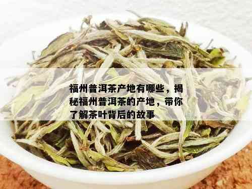 福建普洱茶：详解茶叶制作方式与产地特色