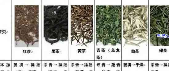 福建特产普洱茶：了解闽地独特的发酵茶叶类型