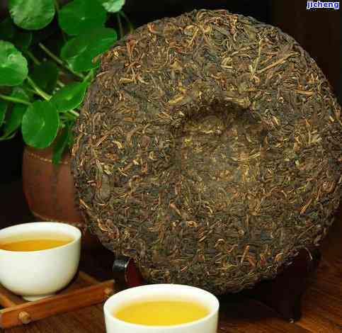 大普洱茶饼属于什么茶类的茶叶？