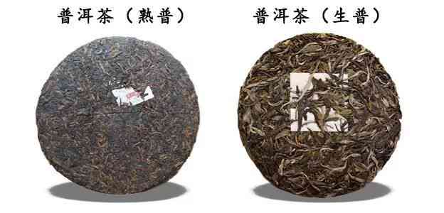 了解普洱茶小知识有哪些