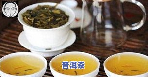 煮茶用普洱生茶还是熟茶？哪个口感更好？