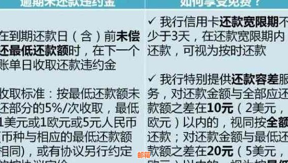 建行到期还款日第二天还款攻略：如何避免逾期风险并优化资金管理