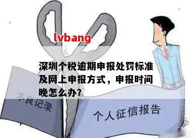 个体逾期申报：是否必须通过税务局进行？可能的解决方案和相关流程全面解析