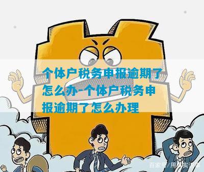 个体逾期申报一定要去税务局申报吗