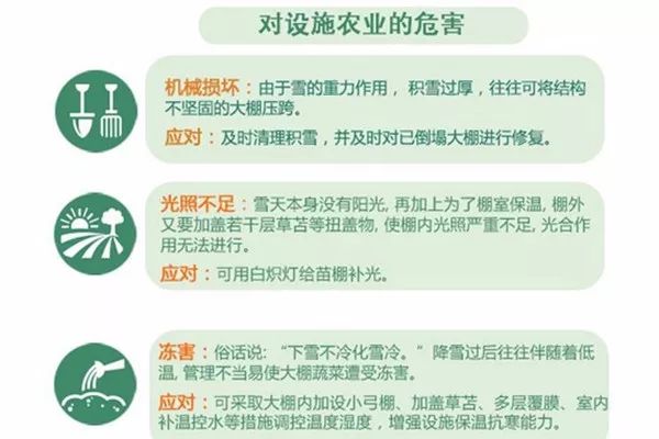 普洱茶拆封后如何妥善保存？——避免湿气与氧气的关键策略