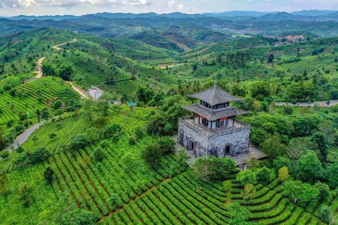 新 '探索普洱茶博览苑：住宿选择与周边景点推荐'