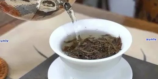 新探讨普洱茶的理想泡法：何时何地使用何种水？