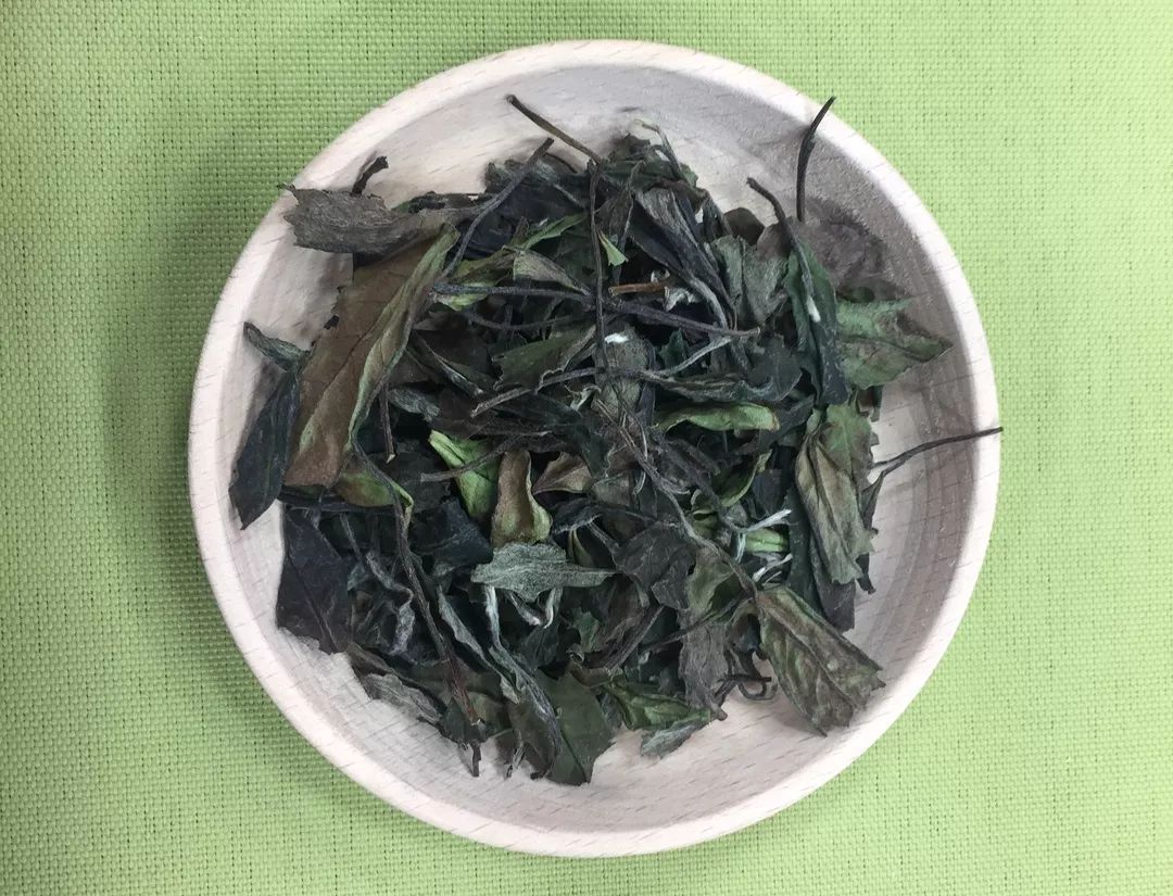 福鼎白茶仅次于普洱茶吗？为什么？