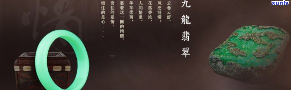 新 翡翠翠龙九爷：一位神秘作者的传记探讨