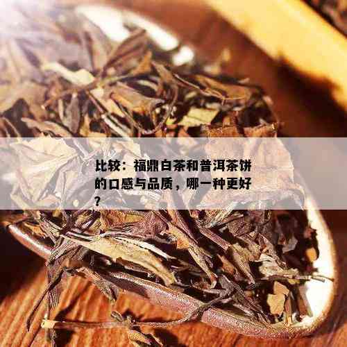 福鼎白茶与普洱茶：哪一款更胜一筹？