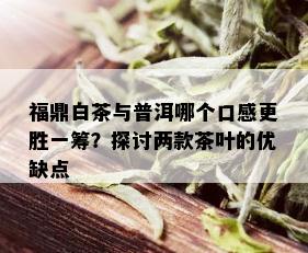 福鼎白茶仅次于普洱茶吗