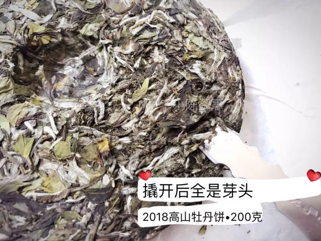 福鼎白茶仅次于普洱茶吗