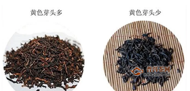 送亲友的完美礼物：版纳特产普洱茶，品尝云南的独特风味与文化传承