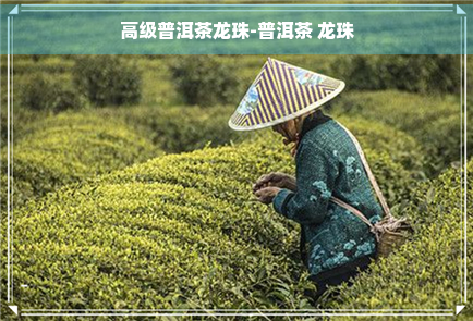 高端普洱茶龙珠排名之一-高端普洱茶龙珠排名之一名