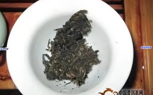 普洱茶的臭味来源及其对茶叶品质的影响：一个全面的解读