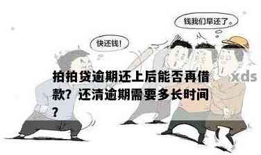 逾期后几天还款的，多久可以再次借款？