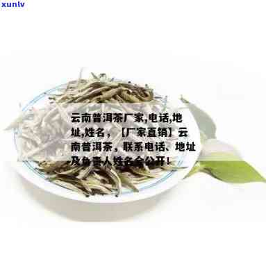 云南滇红茶厂直销批发：品质茶叶，优价格，一站式购茶体验！