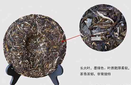 普洱茶2326:一款全面解析的产品，解答您关于普洱茶的所有疑问