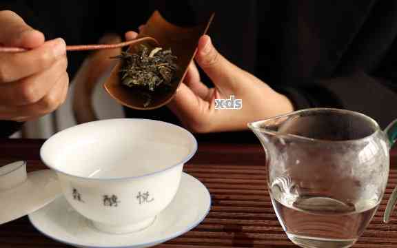 如何选择合适的碗来泡普洱茶：尺寸、材质与泡茶体验的探讨