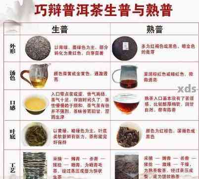 探究普洱茶配料的益处：从科学角度解析其独特功效