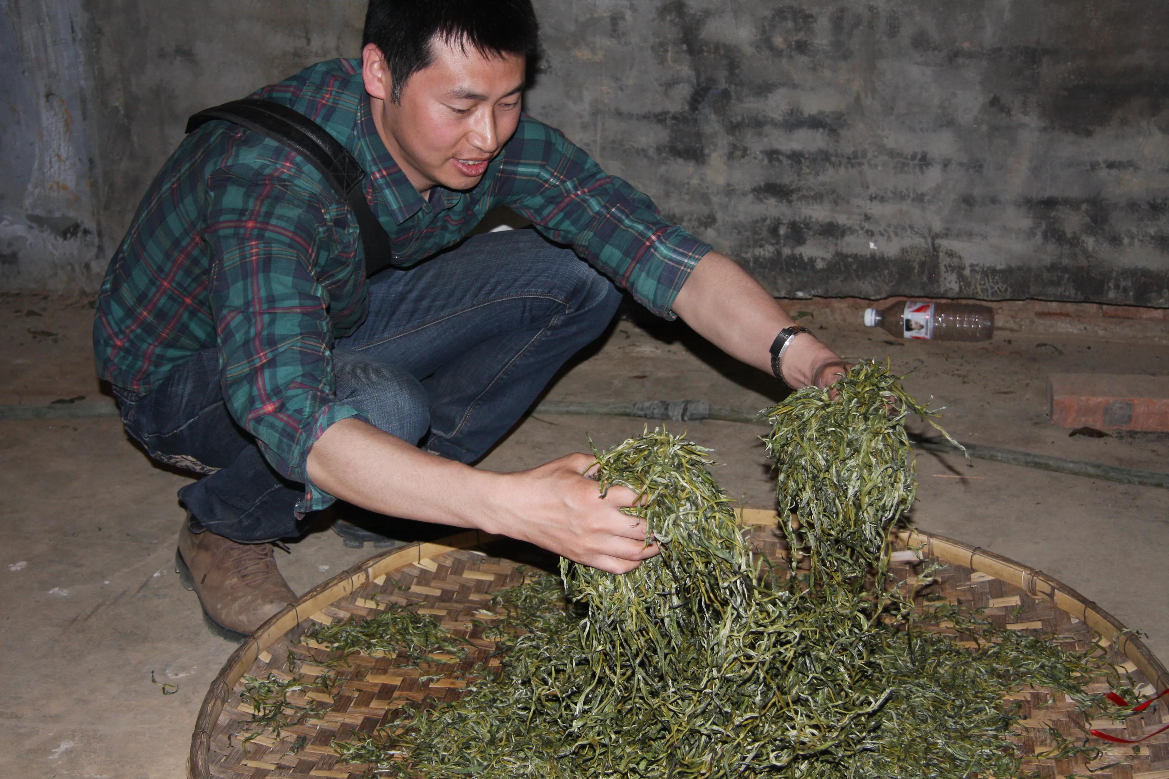 普洱茶与哪些食材搭配煮饮更美味？如何让普洱茶的味道更加出众？