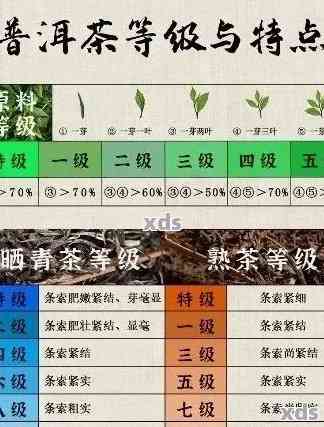 普洱茶经典类型全面解析：从口感、产地到品鉴方法一网打尽