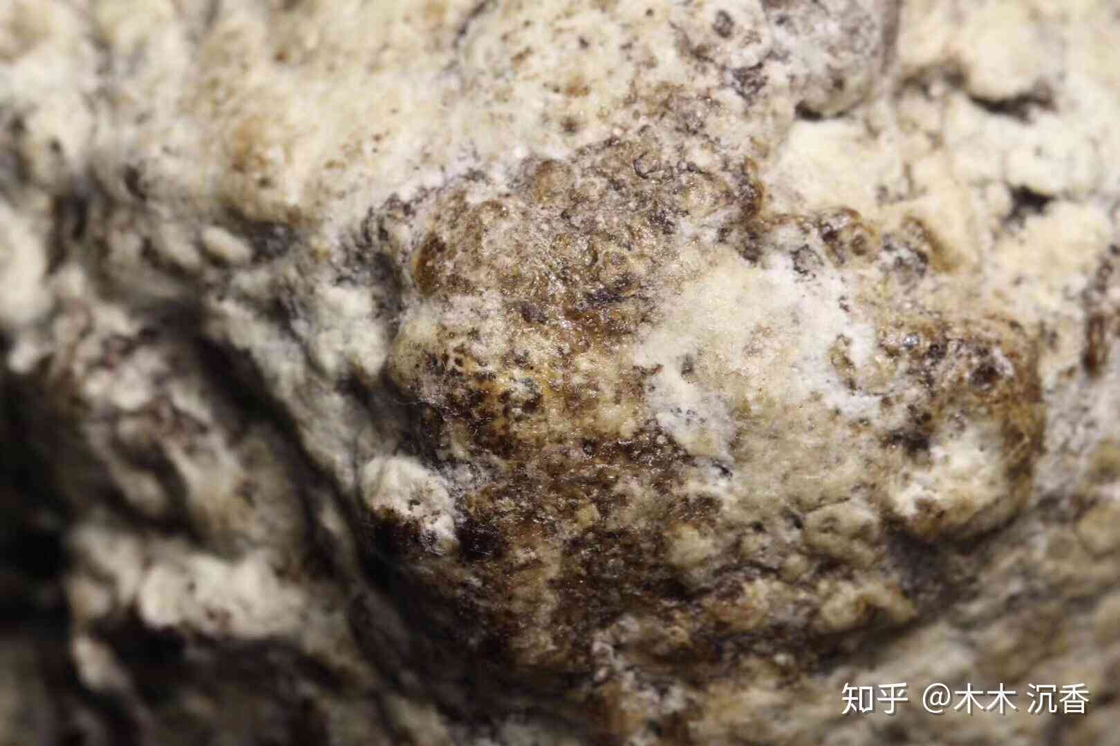 龙涎玉的产地：优质之处与更优选择