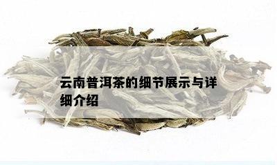 云耳普洱茶产品细节分析