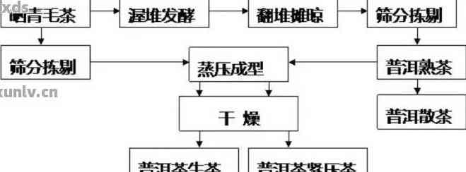 新 '普洱茶蒸压成型工艺：品质、口感及饮用安全性探究'