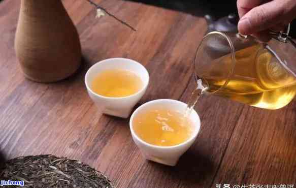 如何泡饮普洱茶：方法与技巧，让普洱茶更美味