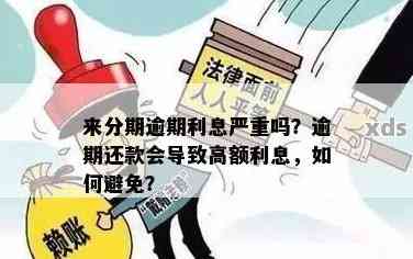 分来期合理吗？利息高合法吗？