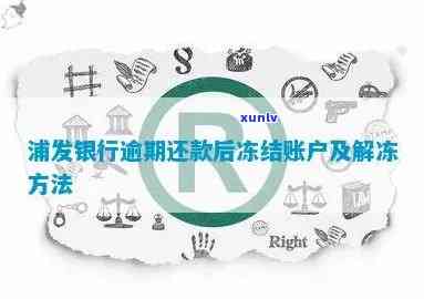 浦发信用卡逾期解冻全攻略：如何处理逾期、恢复信用及解决相关问题