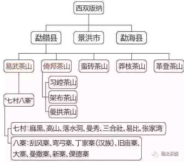 南桥山普洱茶区历简介