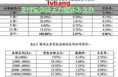 关于使用借呗时是否需要签署无能力还款协议的探讨