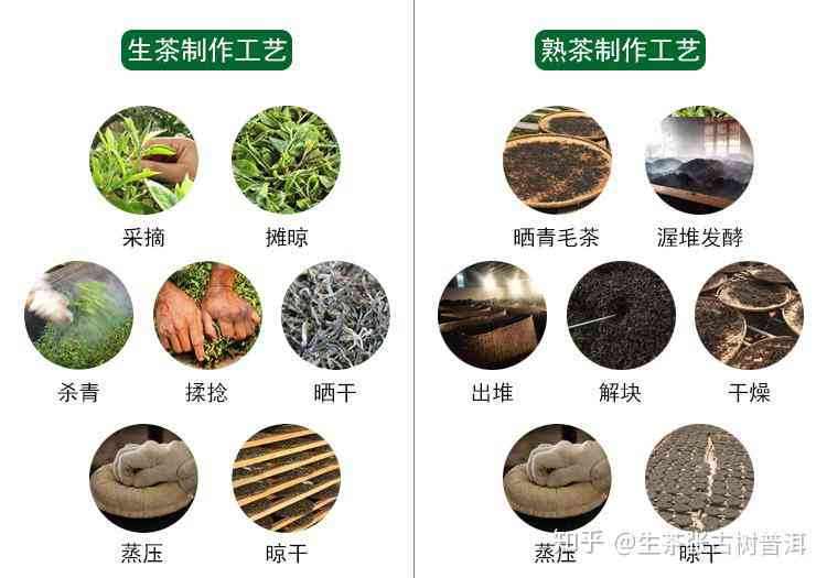 全面解析：进阶普洱茶品种的分类、特点与品鉴方法，助你成为普洱茶专家