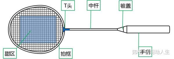 进阶拍是什么意思：入门、专业和进攻的区别与解析