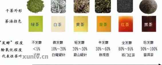 什么是进阶普洱茶品种呢