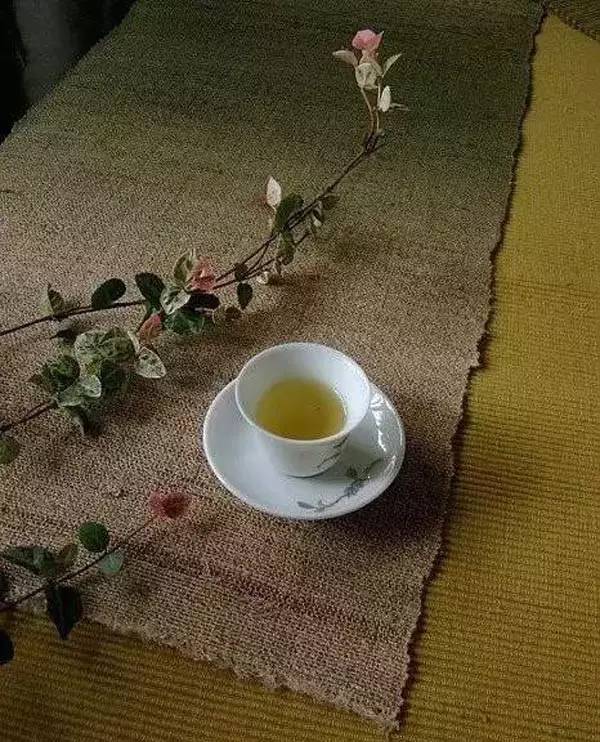 不潮不用花钱翻唱普洱茶：喝出健，品味人生