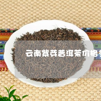 云南紫娟普洱茶价格多少