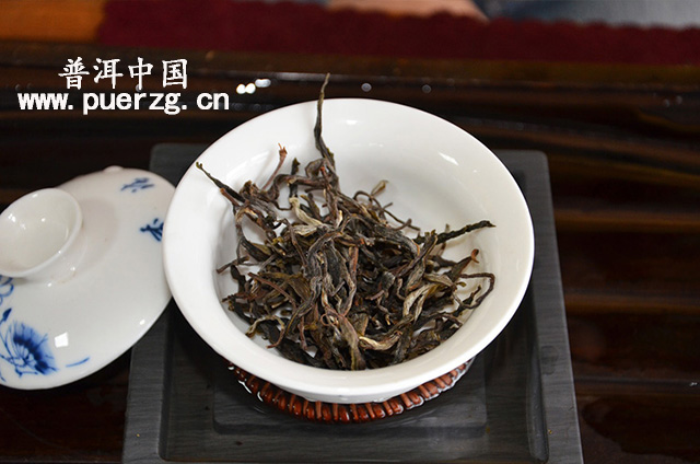 泰7542普洱茶：古树之魂，醇厚口感，收藏佳品